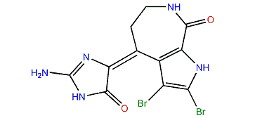 Spongiacidin A